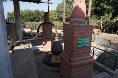 イカからの帰りに立ち寄ったピスコの醸造所